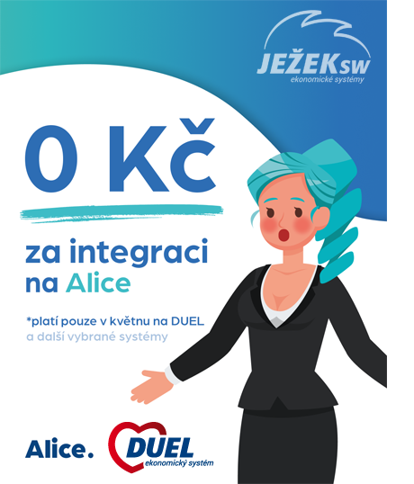 ALICE PARTNER