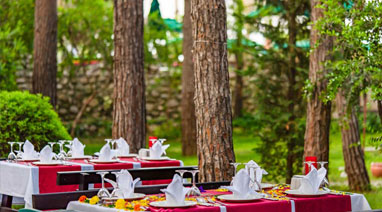 Scenerie hotelu Gypsophila Club Marine